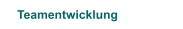 Teamentwicklung